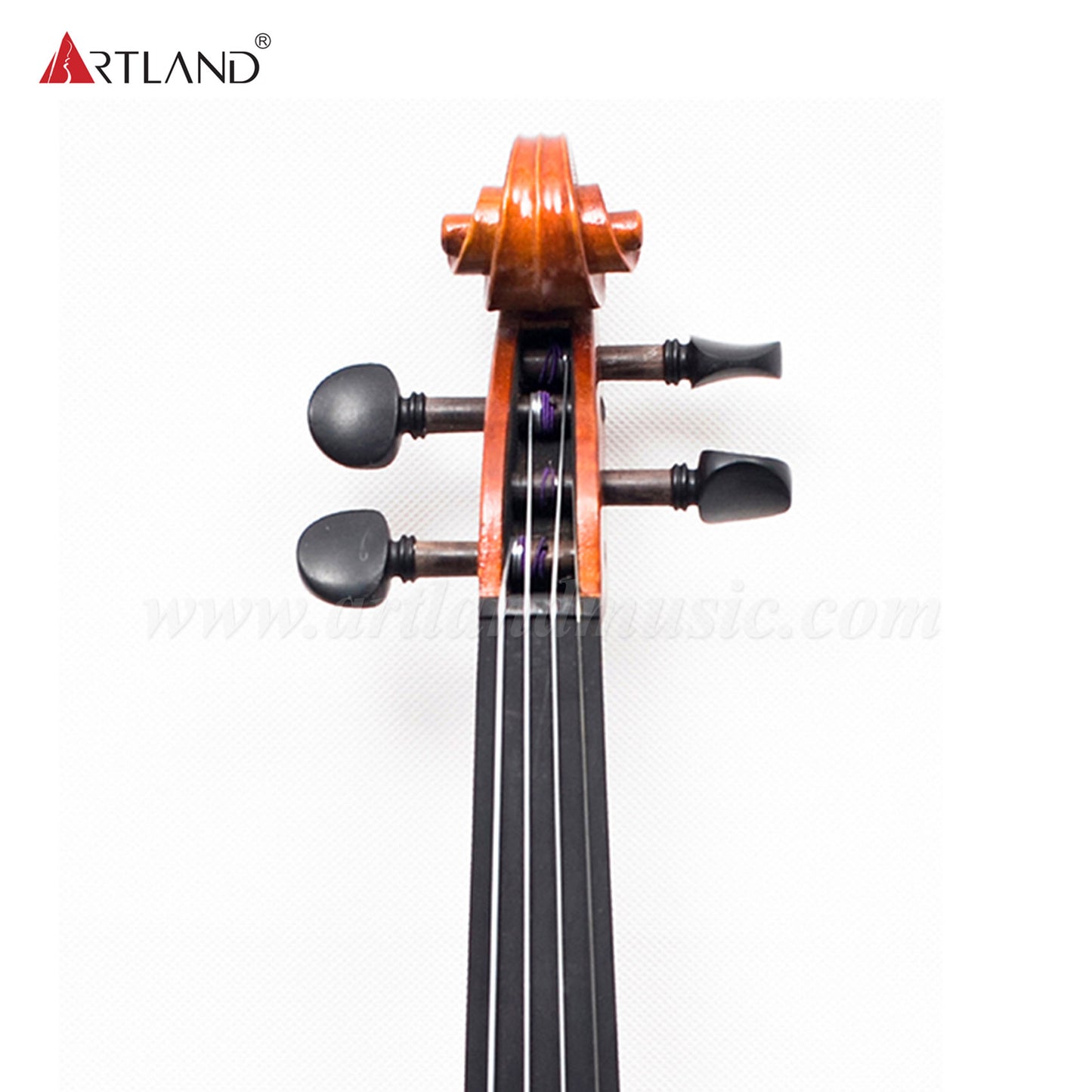 Advanced Violin with Nice Flame