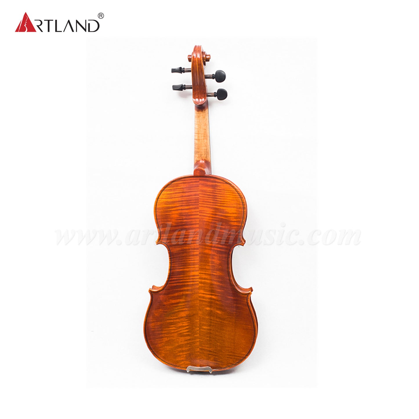 Advanced Violin with Nice Flame