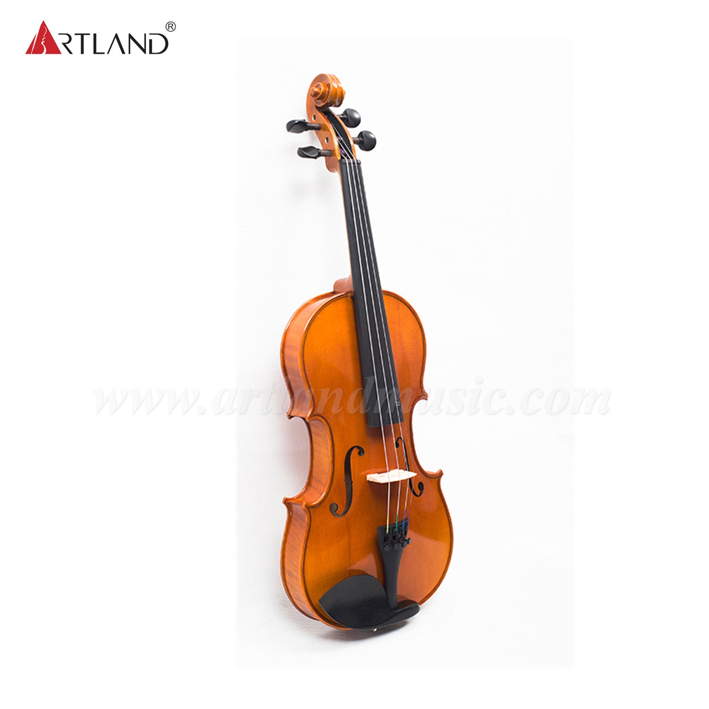 Advanced Violin