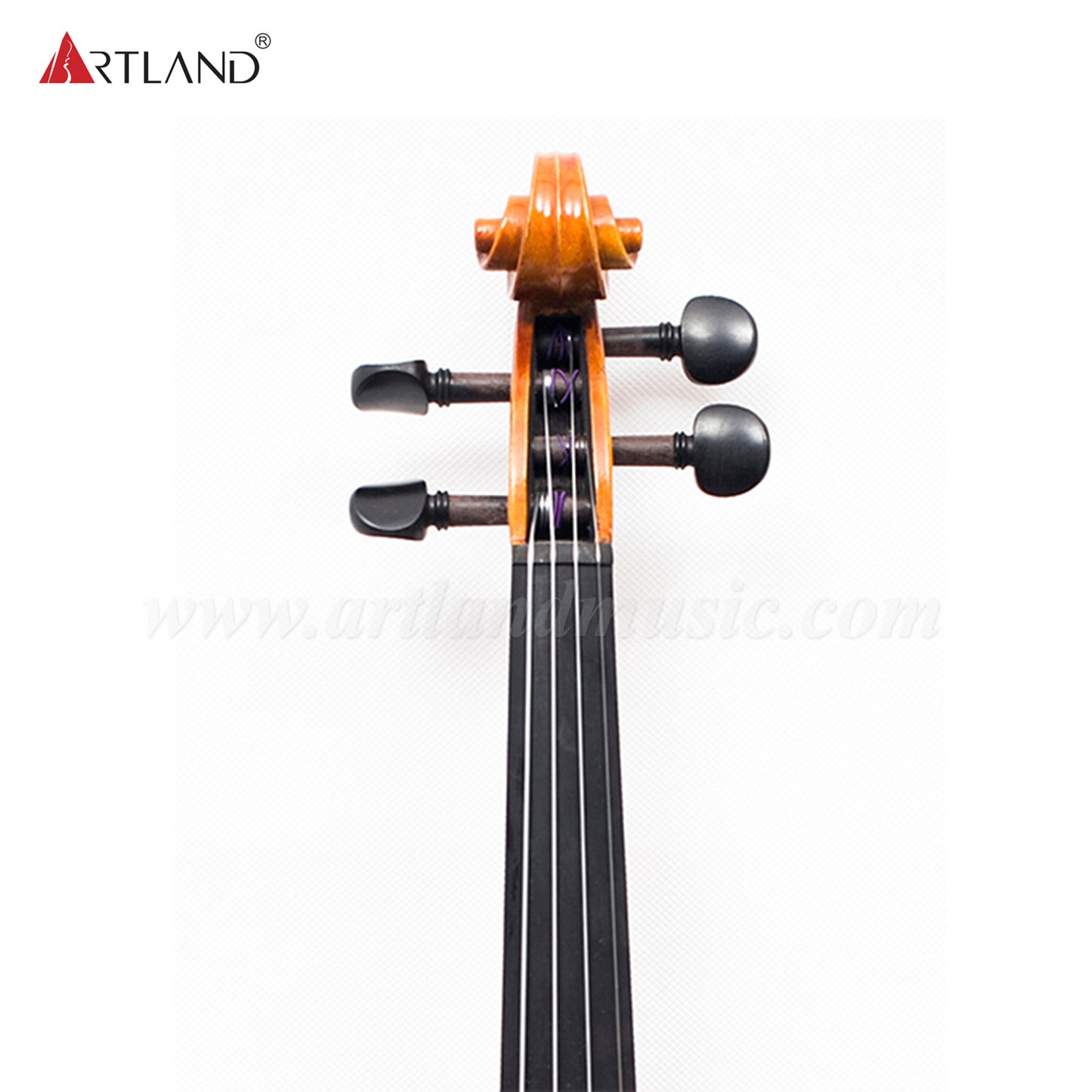 Advanced Violin